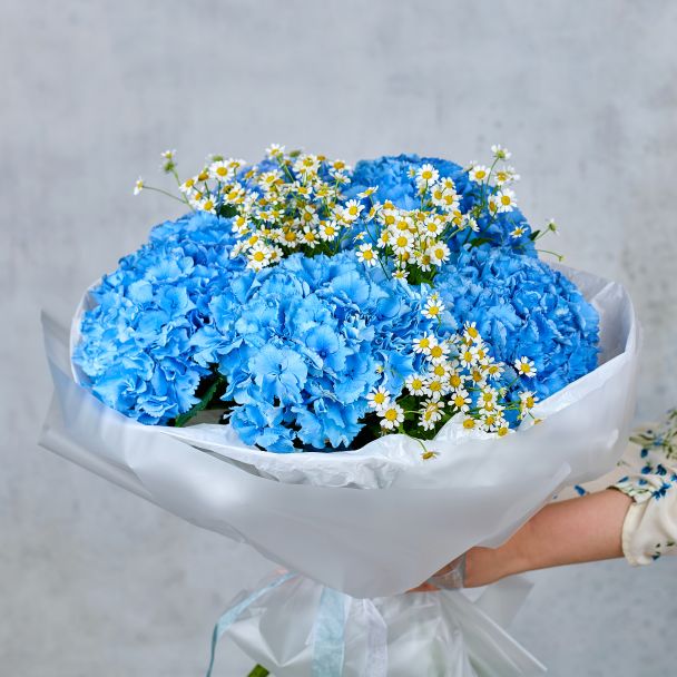 Букет из 5 гортензий