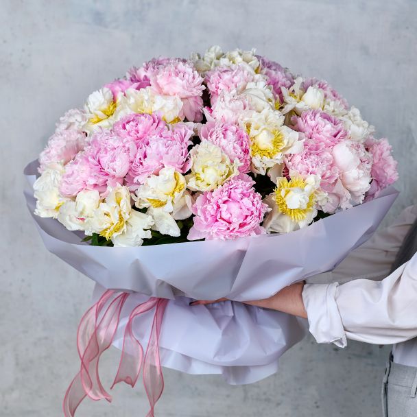 Букет из 51 пиона